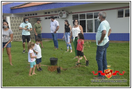 rolim de moura